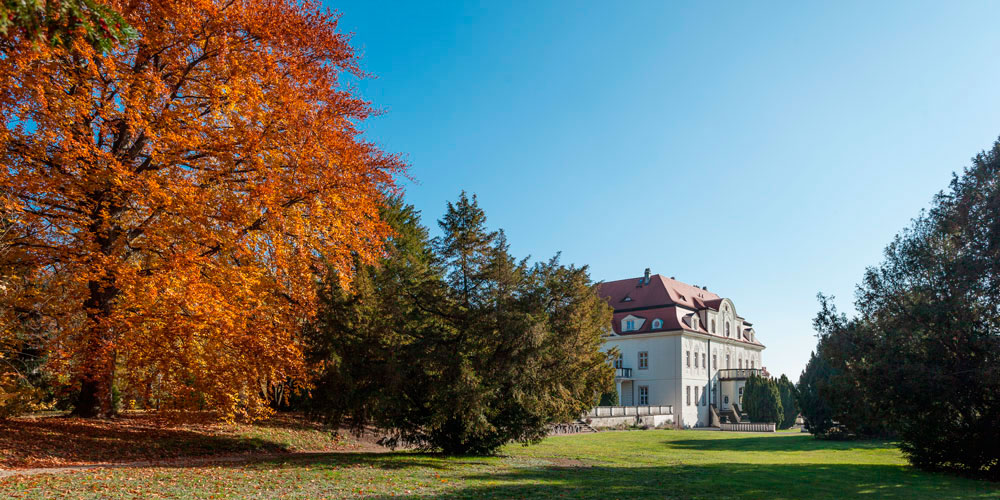 Villa-Wollner_MG_1325i_DS Die Auktion